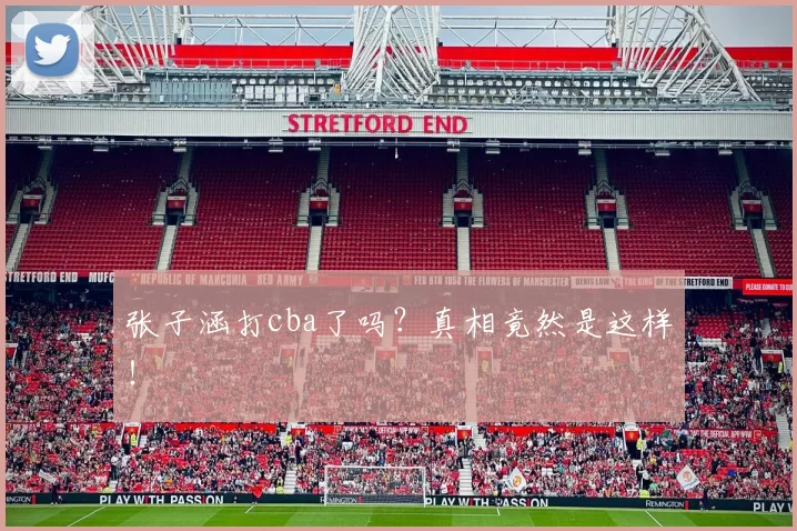 张子涵打cba了吗？真相竟然是这样！